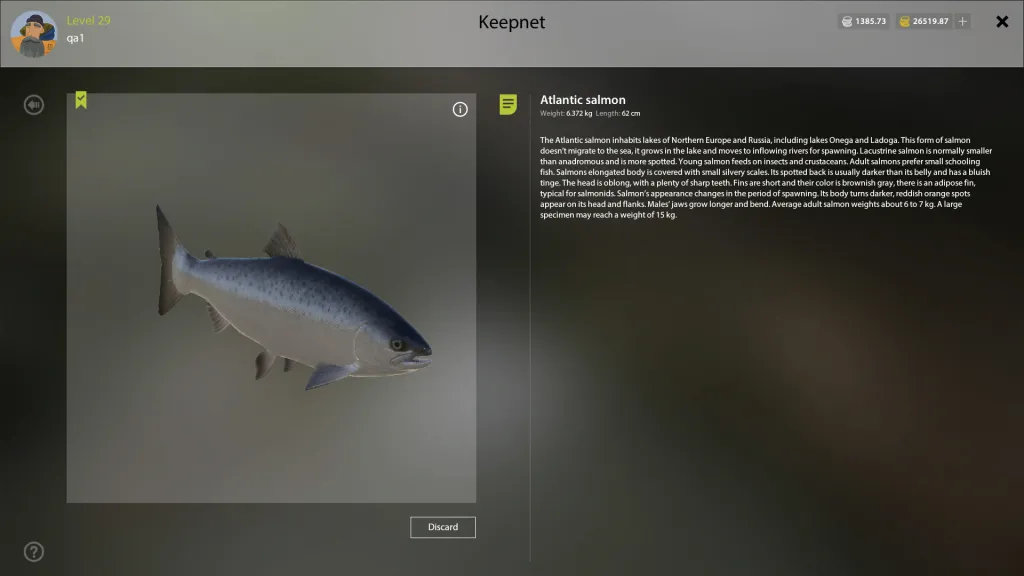 Карточка Atlantic salmon в РР4: зачётная метка, масса 6.372 kg и длина 62 cm